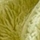 https://img.ltwebstatic.com/images3_spmp/2024/12/13/0f/1734080202b8312ff424eef367cce7feaaef3d3f6d.jpg