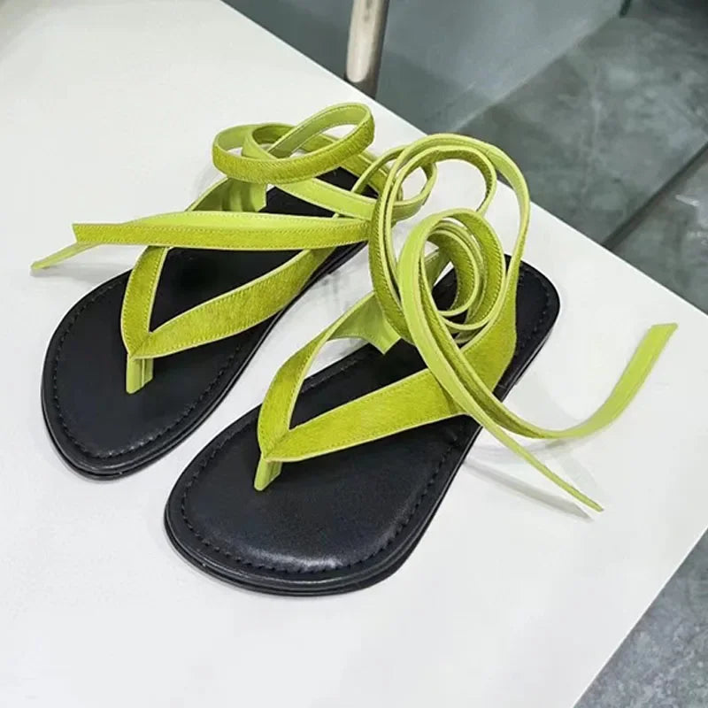 https://ae-pic-a1.aliexpress-media.com/kf/S024afb506afc4753aaf94f6c02495788B.jpg