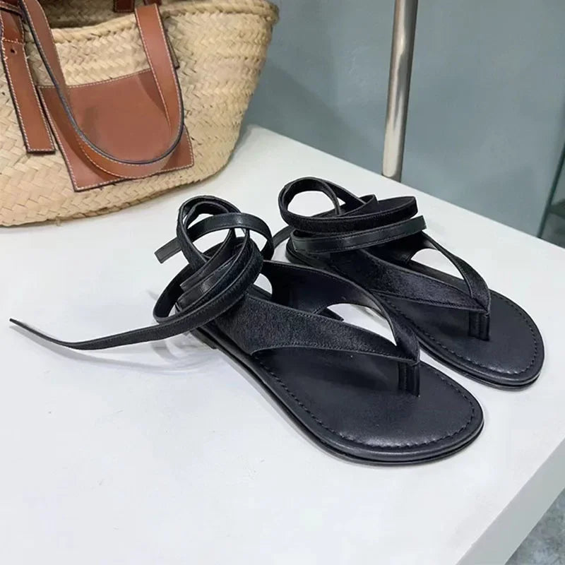 https://ae-pic-a1.aliexpress-media.com/kf/S69e5d07dfe504e53a0e807aee1d85dceM.jpg