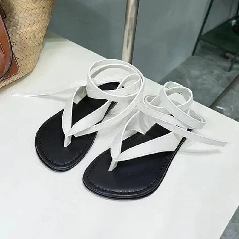 https://ae-pic-a1.aliexpress-media.com/kf/S7a18fbc9a87a40d2b530caddacaf90fcM.jpg