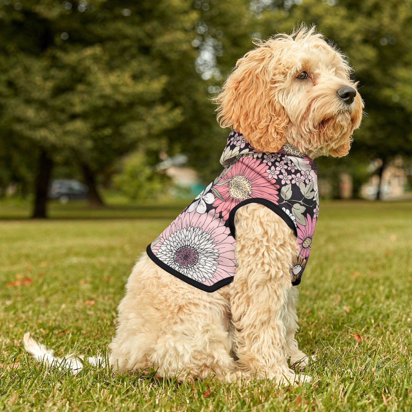 Pet Hoodie - PrairieSpirits Collection