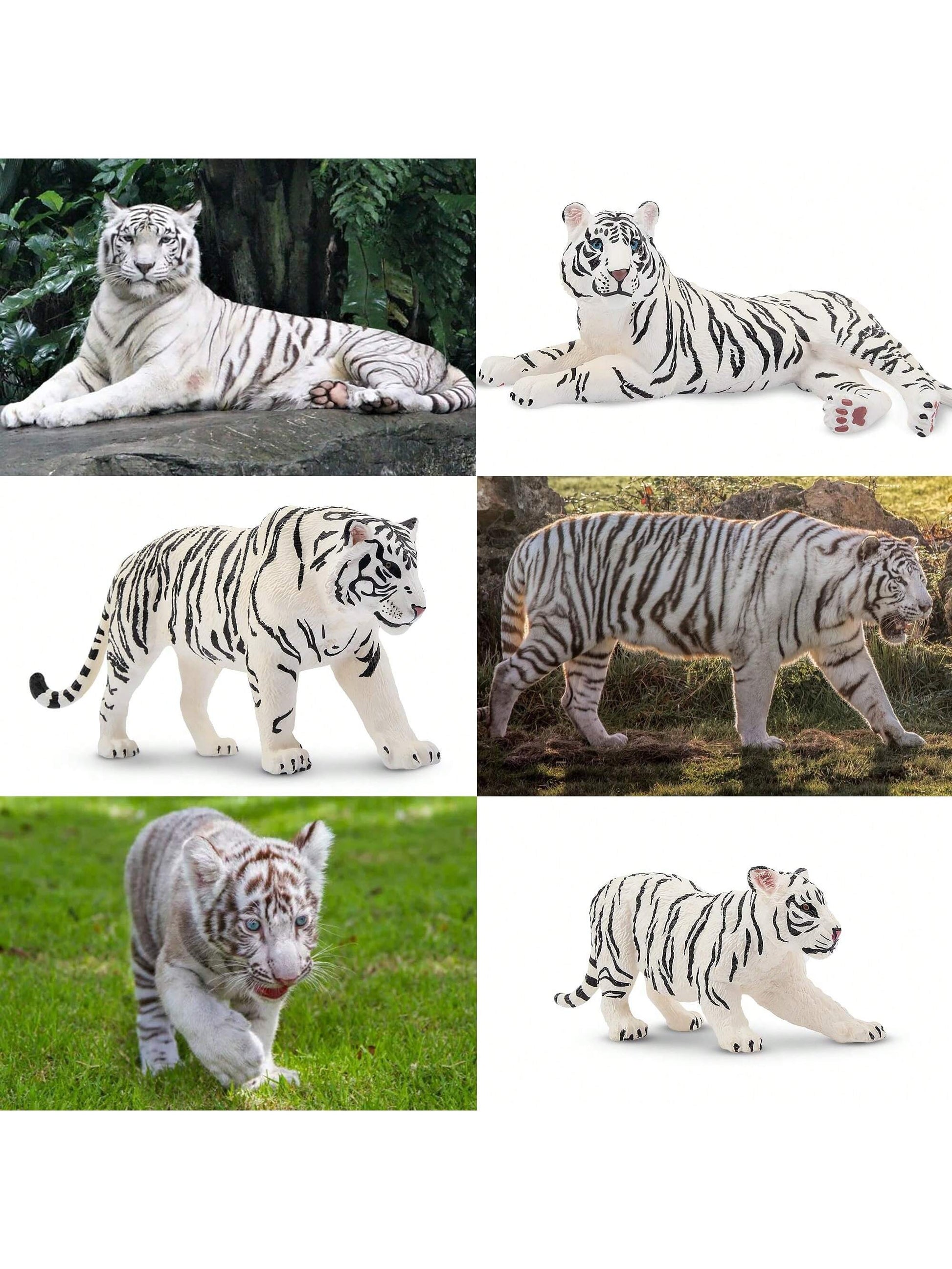 https://img.ltwebstatic.com/images3_spmp/2024/03/13/23/1710323117a37203b4b68746dfb8573bfadb8153bd_square.jpg