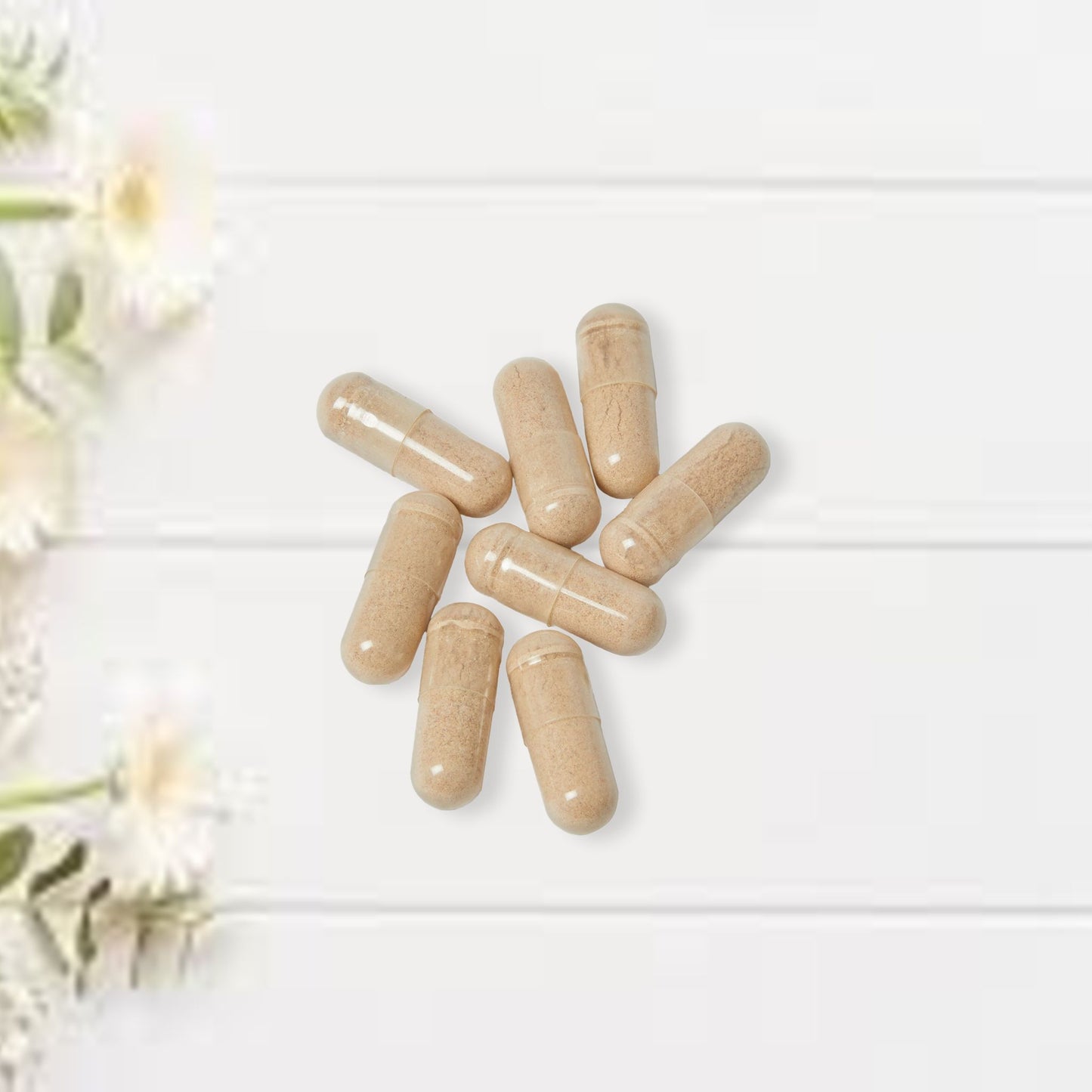 Brain Support Complex Supplement (60 Capsules)