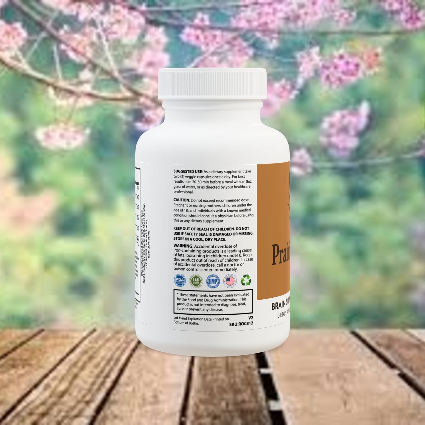 Brain Support Complex Supplement (60 Capsules)