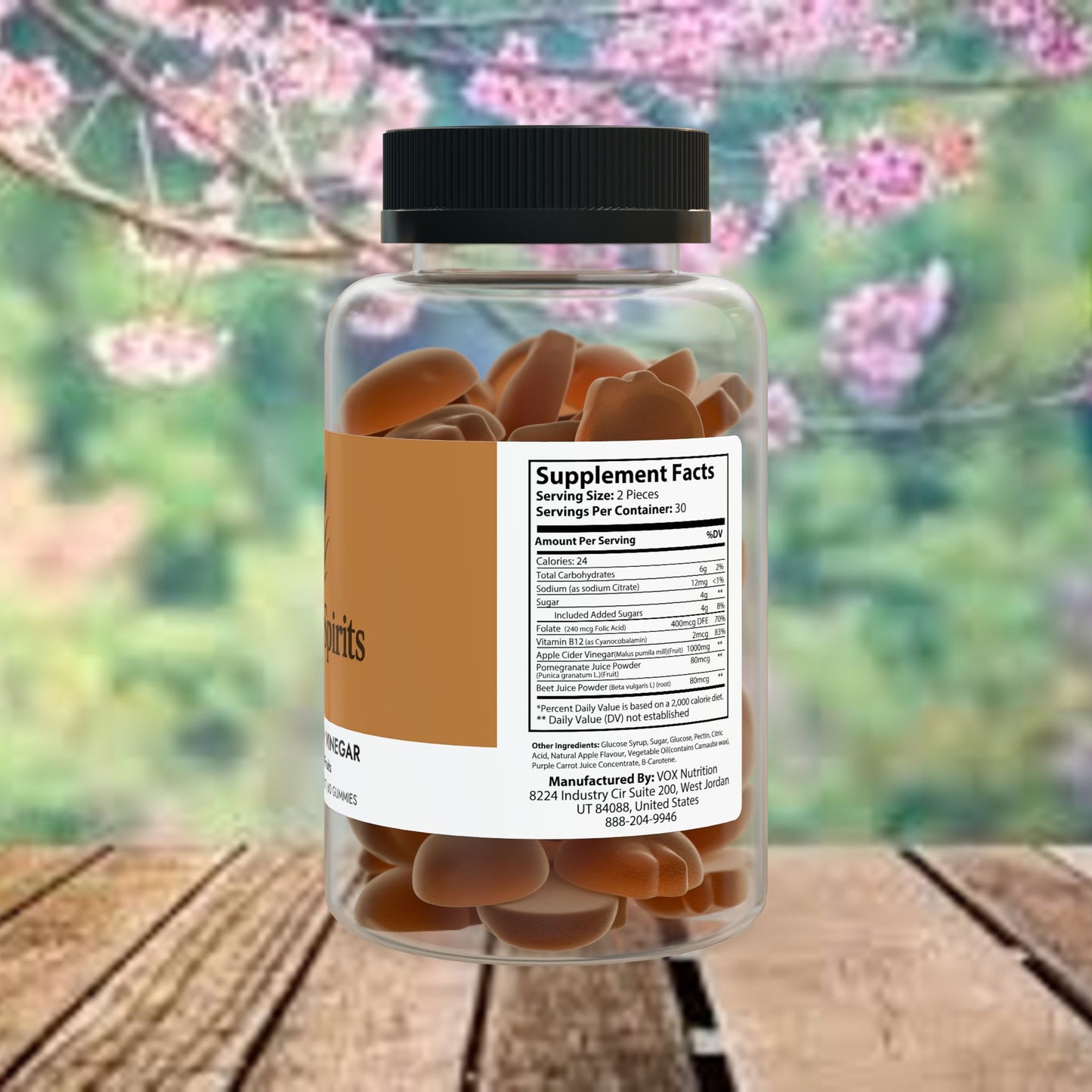 Apple Cider Vinegar Gummies (60 Gummies)