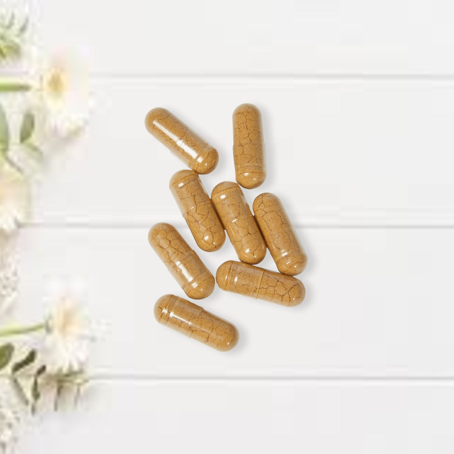 Mushroom Blend Supplement (60 Capsules)